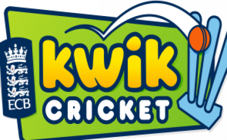 Primary Schools KWIK Cricket 2017